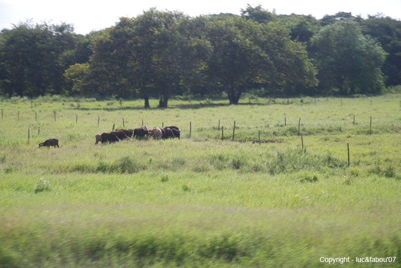 Camaguey - Santa Clara 009
