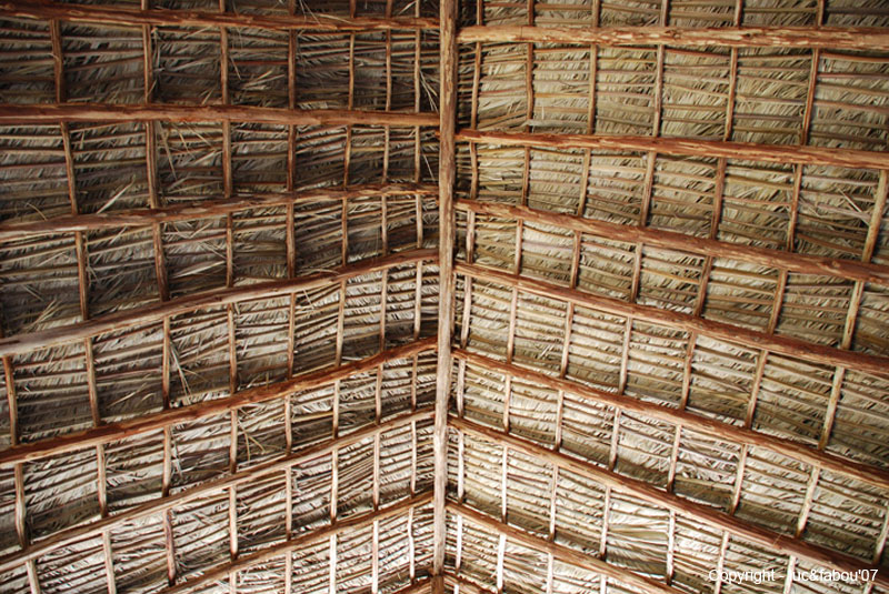Rancho Luna 012