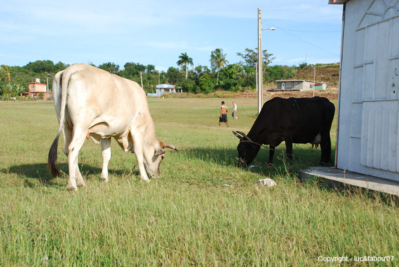 Rancho Luna 036