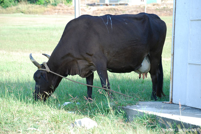 Rancho Luna 037