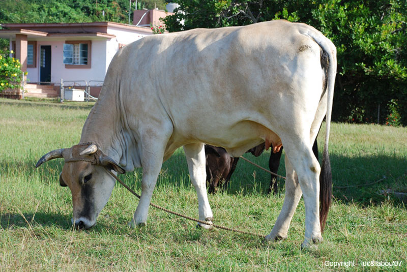 Rancho Luna 038