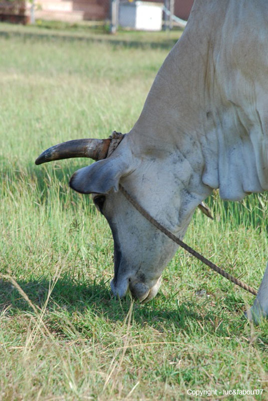 Rancho Luna 039