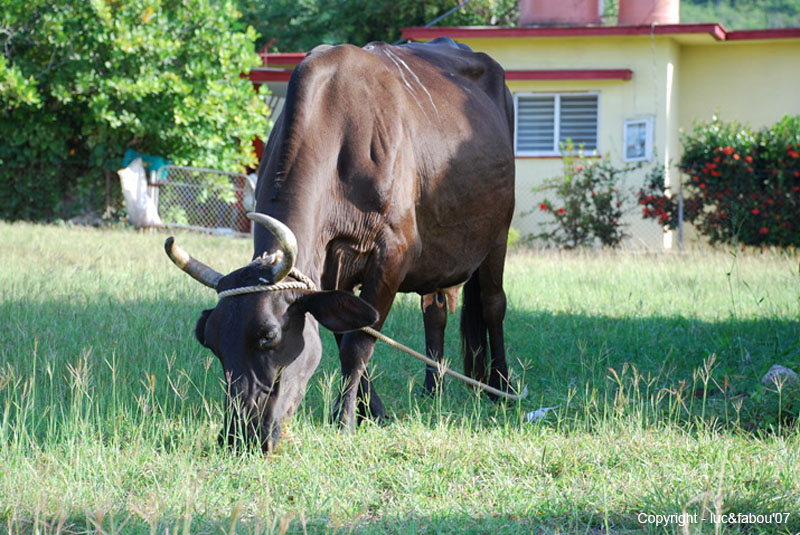 Rancho Luna 041