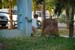 Rancho Luna 020