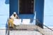 Santiago de Cuba 033