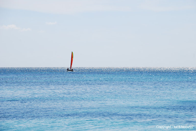 Trinidad 133