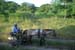 Camaguey - Santa Clara 028